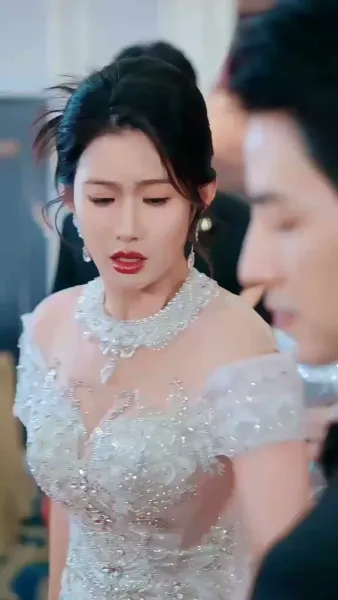 เขยลับตระกูลเศรษฐี(พากย์ไทย)