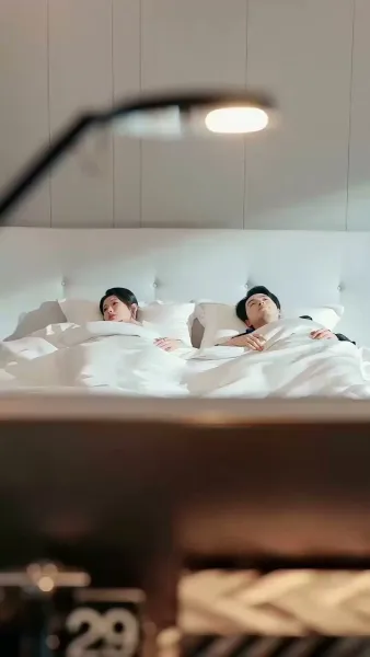 เขยลับตระกูลเศรษฐี(พากย์ไทย)