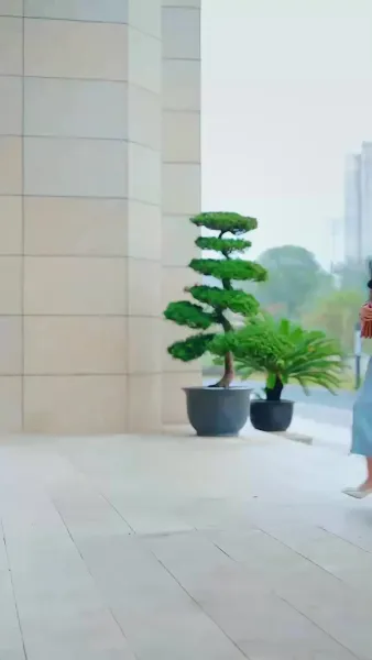 เขยลับตระกูลเศรษฐี(พากย์ไทย)