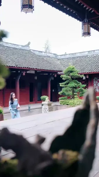 เขยลับตระกูลเศรษฐี(พากย์ไทย)