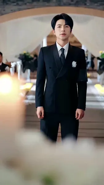 เขยลับตระกูลเศรษฐี(พากย์ไทย)