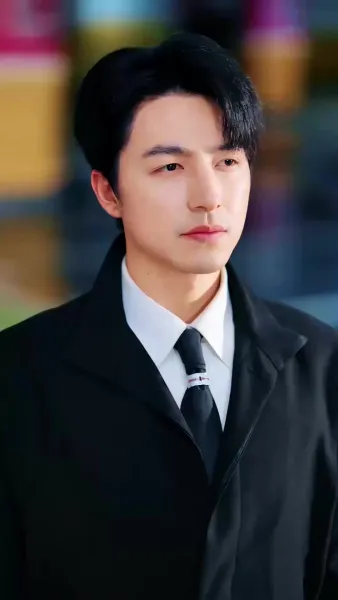 เขยลับตระกูลเศรษฐี(พากย์ไทย)