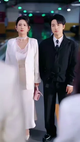 เขยลับตระกูลเศรษฐี(พากย์ไทย)