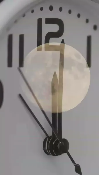 ฝึกสามีเพลย์บอย