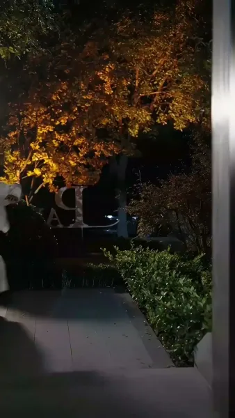 ฝึกสามีเพลย์บอย