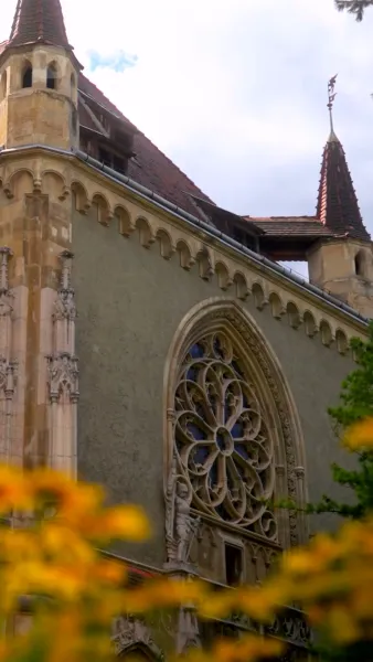 ถูกอัลฟ่าของเธอยึดครอง