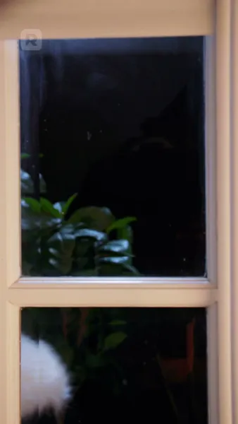 ถูกอัลฟ่าของเธอยึดครอง