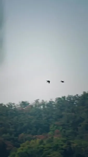 มะมี้ แดดดี้มีรักแท้ มาเสิร์ฟ