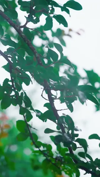 รักนี้... ไม่ได้นัดหมาย