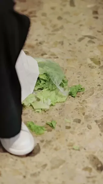 ข้ามมิติไปเป็น หวานใจนายตัวร้าย