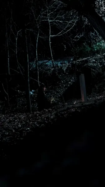 ข้ามมิติไปเป็น หวานใจนายตัวร้าย