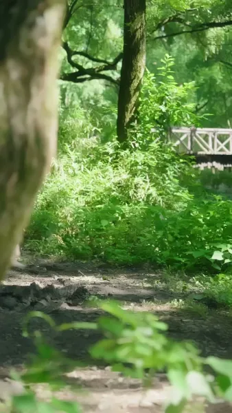 ภรรยาแห่งโชคลาภ