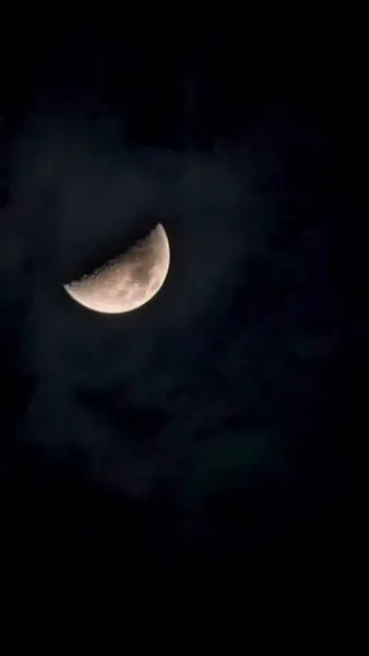 ภรรยาแห่งโชคลาภ