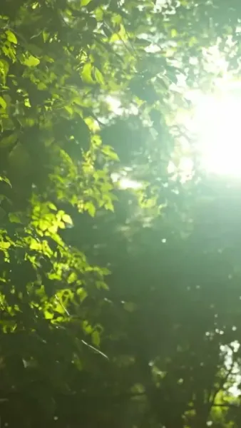 ภรรยาแห่งโชคลาภ