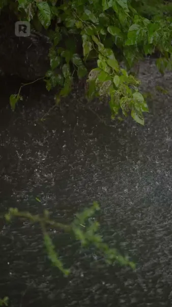 สามีคลั่งรัก เกาะข้าไม่ปล่อย