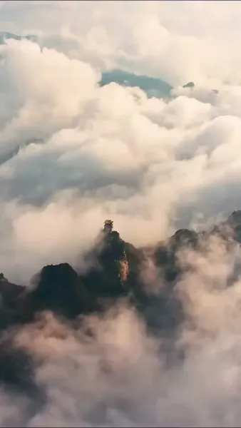 รักคุณเหมือนกับการเต้นของหัวใจ