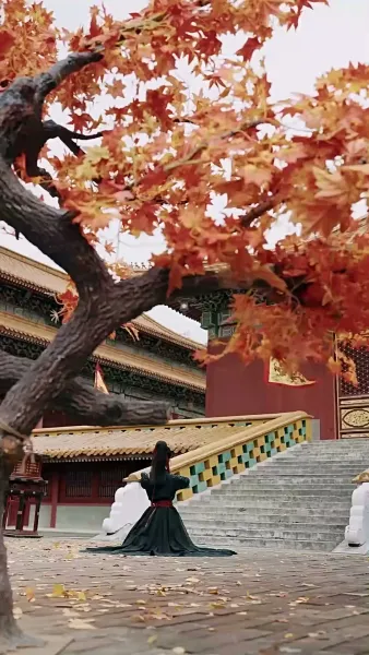 ขิม จารกรรมหัวใจ