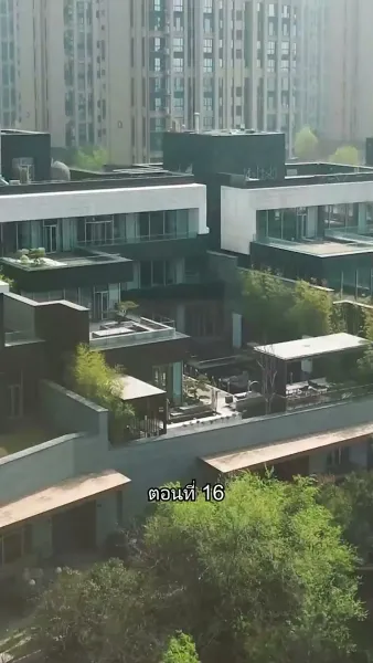 สุดยอดลูกเขย