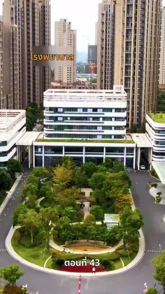 พลิกชีวิตลิขิตทางฝัน