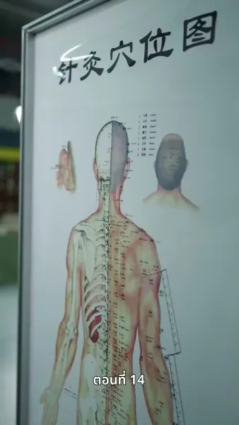 พลิกชีวิตลิขิตทางฝัน