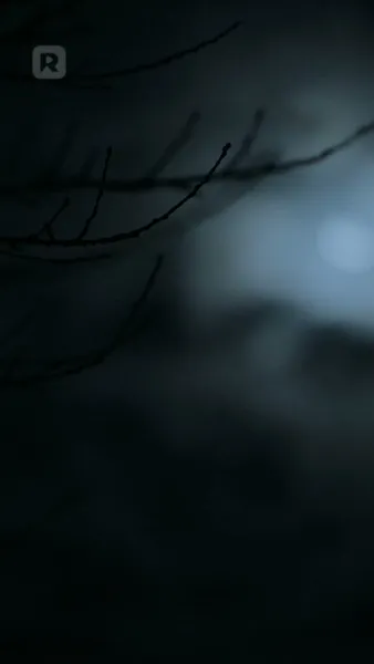 สัญญากำหนดรัก