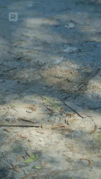 รอยรักมนตราอสูร