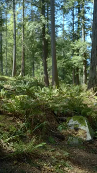 รอยรักมนตราอสูร