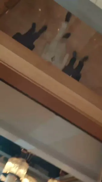 พิสูจน์ตัวเอง ตอกหน้าครอบครัว