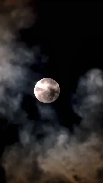 คุณหนูเกิดใหม่ไฉไลกว่าเดิม