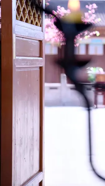 คุณหนูเกิดใหม่ไฉไลกว่าเดิม