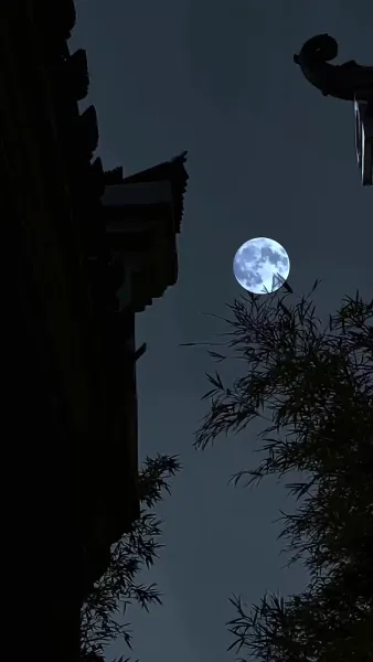 คุณหนูเกิดใหม่ไฉไลกว่าเดิม