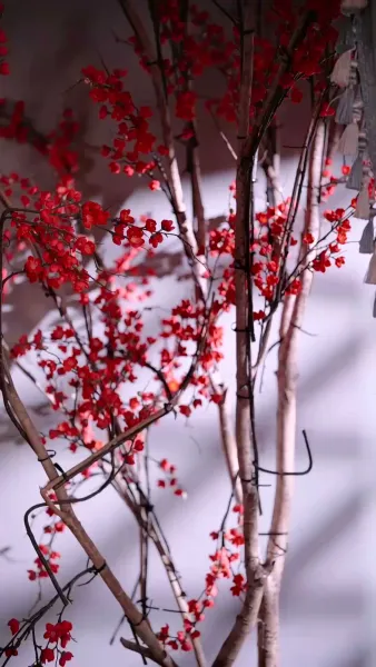 คุณหนูเกิดใหม่ไฉไลกว่าเดิม