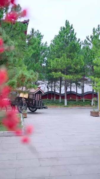 คุณหนูเกิดใหม่ไฉไลกว่าเดิม