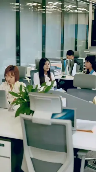 กุหลาบที่รอฝน