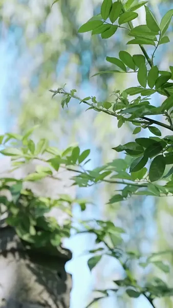 ความทรงจำที่ยังหายใจ