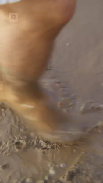 สาวซิงตัวป่วนค่ายรักฤดูร้อน