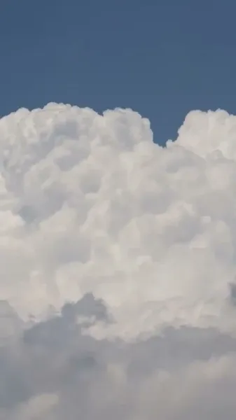 ราคาที่ต้องจ่ายเพื่อการเสแสร้ง