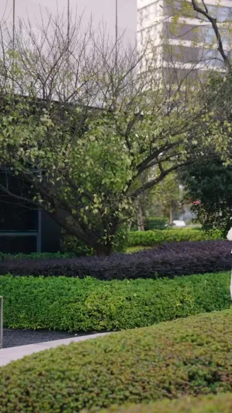 อดีตเมียขายผัก คือประธานหญิง