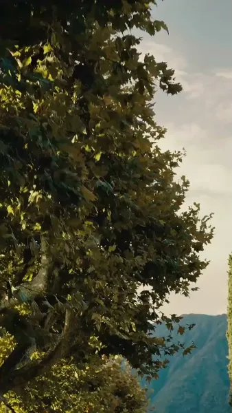 สาวน้อยของมาเฟีย