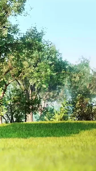 สาวน้อยของมาเฟีย