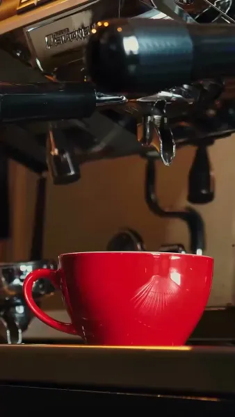 สาวน้อยของมาเฟีย