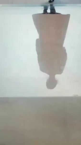 ลวงให้รัก ล่อให้ร้าย