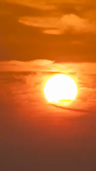 หน้ากากของลูกสะใภ้ฉัน 