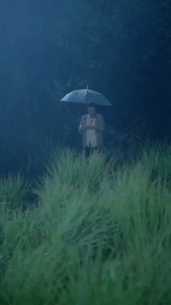 หน้ากากของลูกสะใภ้ฉัน 