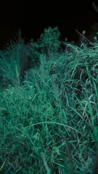 แจกันสื่อรัก ข้ามเวลาท้าลิขิต