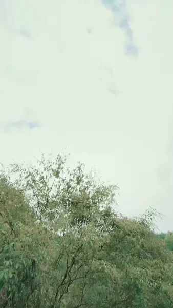 แจกันสื่อรัก ข้ามเวลาท้าลิขิต