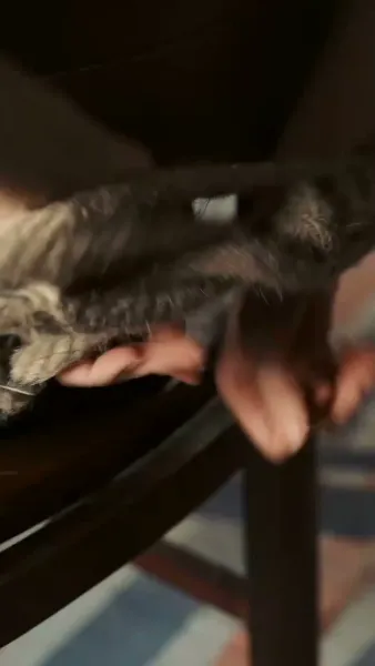 แจกันสื่อรัก ข้ามเวลาท้าลิขิต