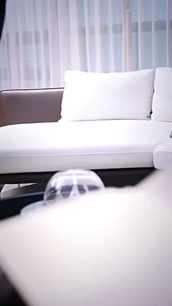 เกิดใหม่เป็นคุณนายฟู่