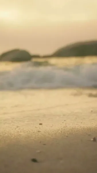 รักสุดใจนายมาเฟีย