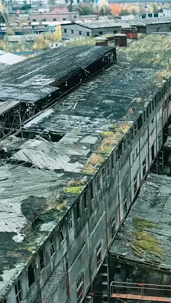 รักสุดใจนายมาเฟีย